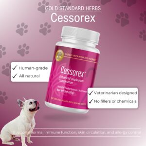 Cessorex Allergy Relief and Skin Immune Function Support for Dogs by Gold Standard Herbs, All Natural Bupleurum Combination, 85 gram powder, White