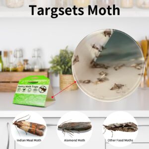 UltraPestcide Pantry Moth Traps with Pheromones, 6 Pack - Sticky Glue Moth Traps for House Kitchen, Indoor Pantry Moth Killer, Premium Attractant Moth Pheromone Traps