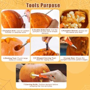 17PCS Halloween Pumpkin Carving Kit, 7PCS Heavy Duty Stainless Steel Carving Tools with 10PCS Pumpkin Carving Stencils, DIY Halloween Decoration Jack O Lantern Professional Pumpkin Carving for Adults