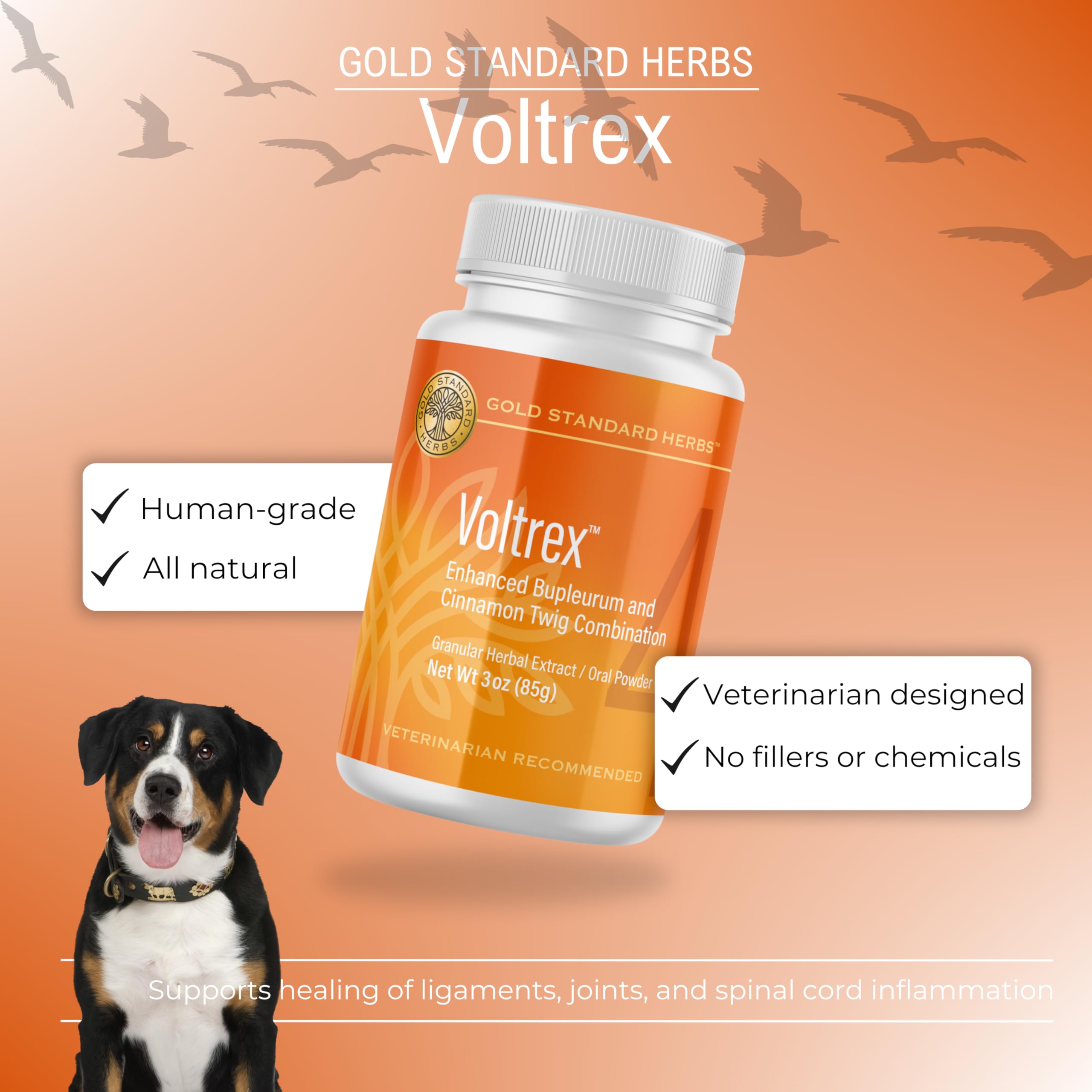 Voltrex Ligament and Spinal Cord Inflammation Relief for Dogs by Gold Standard Herbs, All Natural Bupleurum and Cinnamon Twig, 85 gram powder, White