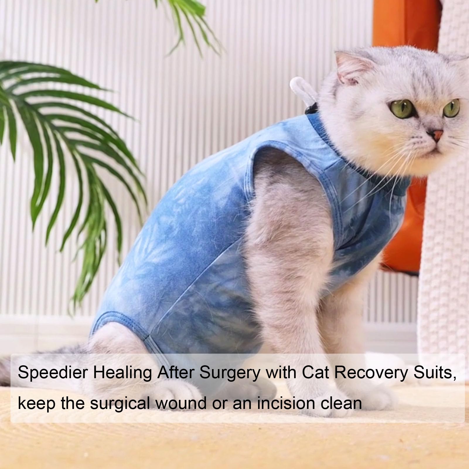 Cat Recovery Suit Cats Onesie for Female Male After Surgery Abdominal Anti Licking Wounds Skin Diseases, Breathable E-Collar Alternative for Cats and Dogs (Tie dye Blue, L)