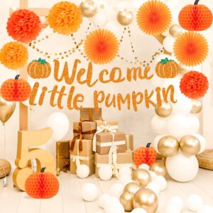 Little Pumpkin Baby Shower Decorations Include Little Pumpkin Banner Pumpkin Honeycomb Balls Tissue Pom Poms Flowers Paper Fans for Fall Theme Baby Shower Little Pumpkin Birthday Party Decoration