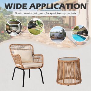 HOMEZILLIONS 3 Piece Outdoor Wicker Furniture Bistro Set, Rattan Chairs Conversation Sets Porch Furniture, Wicker Patio Furniture for Balcony Poolside Backyard