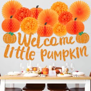 Little Pumpkin Baby Shower Decorations Include Little Pumpkin Banner Pumpkin Honeycomb Balls Tissue Pom Poms Flowers Paper Fans for Fall Theme Baby Shower Little Pumpkin Birthday Party Decoration