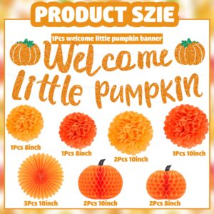 Little Pumpkin Baby Shower Decorations Include Little Pumpkin Banner Pumpkin Honeycomb Balls Tissue Pom Poms Flowers Paper Fans for Fall Theme Baby Shower Little Pumpkin Birthday Party Decoration