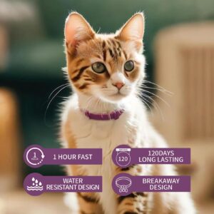 4 Pack Calming Collar for Cats, Cat Pheromone Calming Collar Stress and Anxiety Relief Lasts 30 Days Calm Collar Cat Adjustable Appeasing Calming Collar for Kitten Kitty Calm Collar Make Cat Relaxed