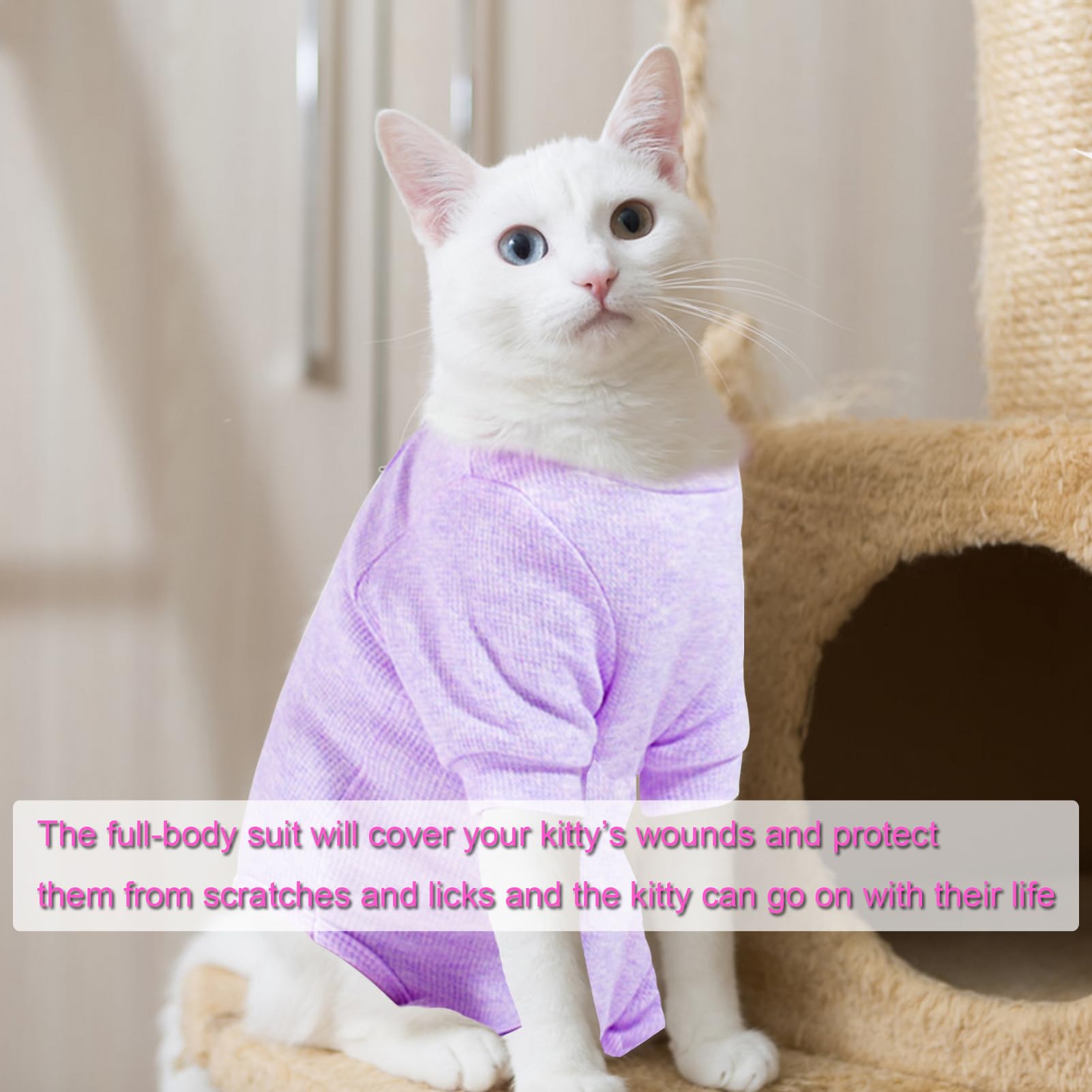 Cat Recovery Suits, Onesie for Cat Pet Wound Care After Surgery,The E-Collar Alternative for Post-Operative Care Bandages Post-Surgery Wear (Light Purple, S)