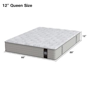 Yuewanshun Queen Size Mattress, 12 Inch Hybrid Queen Mattress in a Box with Gel Memory Foam, Colchones Queen, Medium Firm, Edge Support, Motion Isolation and CertiPUR-US, 60"*80"*12"