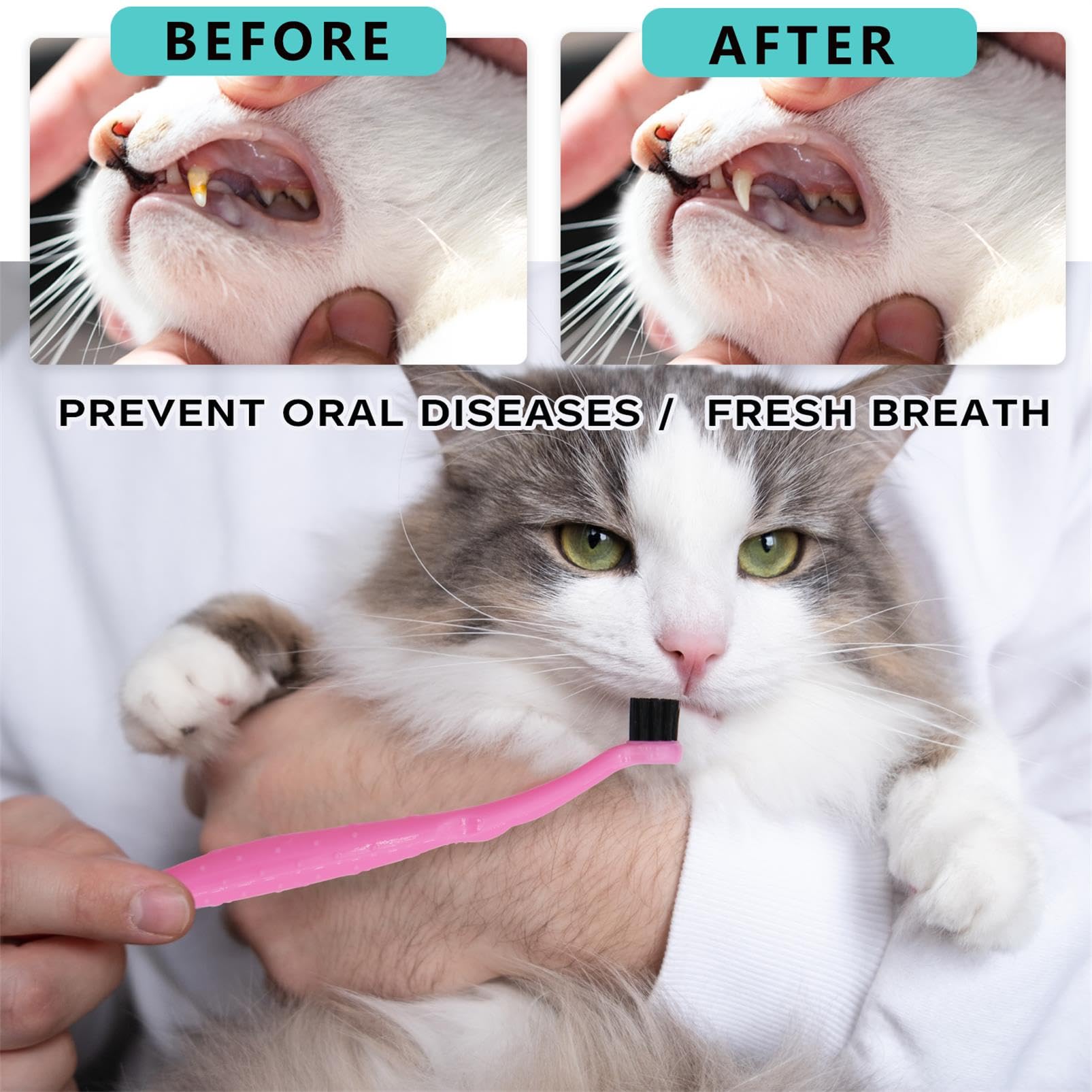 QWloog Magzipo 6 Pcs Dual Sided Cat Toothbrush,Cat Dental Care Tooth Cleaning Supplies for Kitten,Cats