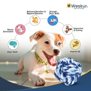 25-Pack Premium+ Dog Chew Toys for Puppies - Teething Chew Toys for Boredom, Pet Toothbrush Chew Toys with Rope, Treat Balls, and Squeaky Toys for Small to Medium Dog