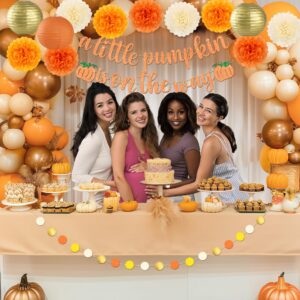 Kriyokiaa Little Pumpkin Baby Shower Decorations 14 Pcs Fall Baby Shower Decorations with A Little Pumpkin Is On The Way Banner, Tissue Pom-Poms, Paper Lantern