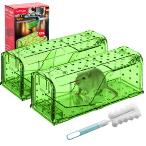 pattler® | new large humane mouse trap for indoor and outdoor home | mechanical reusable live mouse traps catch and release mice from garden, garage, attic, inn, hotel | green | pack of 2