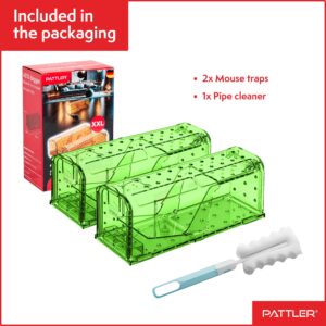 PATTLER® | New Large Humane Mouse Trap for Indoor and Outdoor Home | Mechanical Reusable Live Mouse Traps Catch and Release Mice from Garden, Garage, Attic, Inn, Hotel | Green | Pack of 2