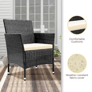 TINKLE WELL Outdoor Patio Furniture Sets, 4 Pieces Rattan Chairs Wicker Conversation Set with Tempered Glass Table, Cushion, for Yard, Garden, Poolside, Porch, Bistro, Balcony