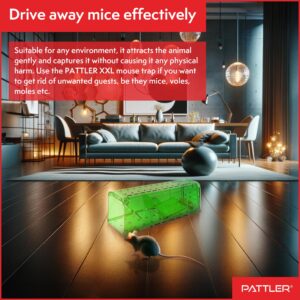 PATTLER® | New Large Humane Mouse Trap for Indoor and Outdoor Home | Mechanical Reusable Live Mouse Traps Catch and Release Mice from Garden, Garage, Attic, Inn, Hotel | Green | Pack of 2