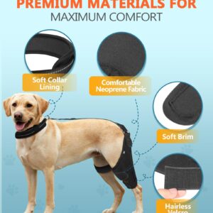 CAMRIER 2X Support Dog Knee Brace with Metal Strips for Joint Pain Relief, Dog Leg Braces for Torn Acl Hind Leg, Rear Leg Brace with Adjustable Traction Belt for Cruciate Ligament Injury, Arthritis