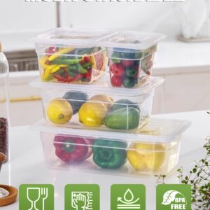 1/9 Size&2.5 Inch Translucent NSF Food Pan: 9 PCS[Total Seal] [Hot&Cold Resistant] Food Storage Containers with Lids, Topping Salad Bar Container (BPA-FREE)