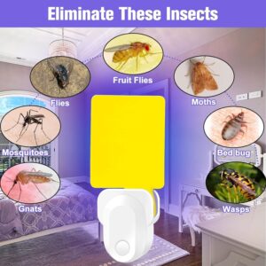 2 Pack Fly Trap Indoor, Gnat Traps for House Indoor, Electronic Flying Insect Traps Plug in, Bug Catcher, Fruit Flies, Gnats, Moths Killer for Safer Home with Night 10 Glue CardsST07