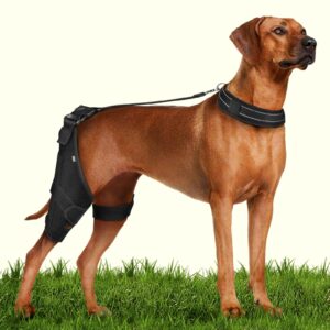 camrier 2x support dog knee brace with metal strips for joint pain relief, dog leg braces for torn acl hind leg, rear leg brace with adjustable traction belt for cruciate ligament injury, arthritis