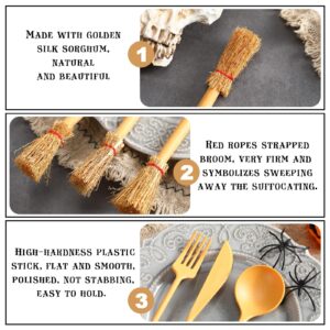 Teenyyou 30 Pcs Halloween Plastic Cutlery Set Includes 10 Forks 10 Spoons 10 Knives Halloween Party Favors Idea Witch's Broom Cutlery Stuff Utensil Spooky Kitchen Accessories for Thanksgiving