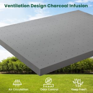 VISCOFLEX Queen Mattress Topper, 3 Inch High Density Foam Mattress Topper for Back Pain & Extra Weight Individuals, Back Pain Relief - Charcoal Infusion, New-Version