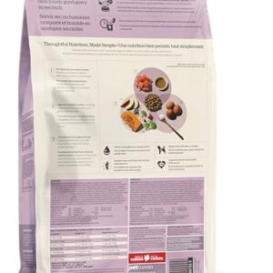 Now Fresh Good Gravy, Bone Broth Coated Kibble, Dry Dog Food, Salmon Adult Recipe with Grains, All Breed Size, 22 lb Bag