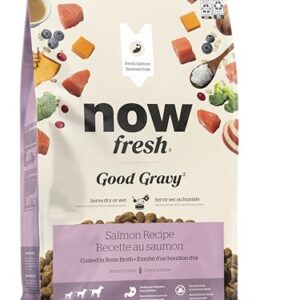 Now Fresh Good Gravy, Bone Broth Coated Kibble, Dry Dog Food, Salmon Adult Recipe with Grains, All Breed Size, 22 lb Bag