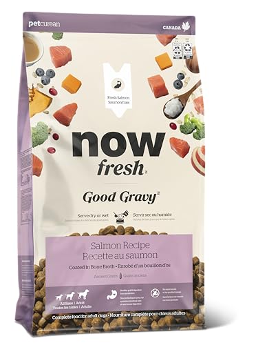 Now Fresh Good Gravy, Bone Broth Coated Kibble, Dry Dog Food, Salmon Adult Recipe with Grains, All Breed Size, 22 lb Bag