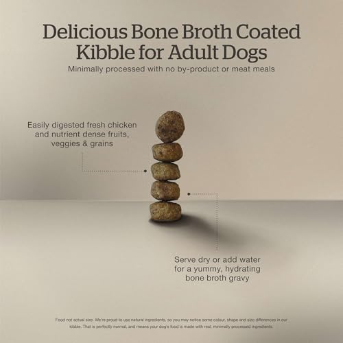 Now Fresh Good Gravy, Bone Broth Coated Kibble, Dry Dog Food, Salmon Adult Recipe with Grains, All Breed Size, 22 lb Bag