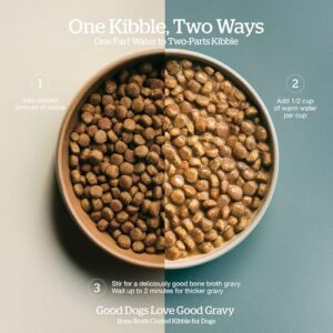 Now Fresh Good Gravy, Bone Broth Coated Kibble, Dry Dog Food, Salmon Adult Recipe with Grains, All Breed Size, 22 lb Bag