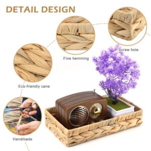 Grass Weaving Tray 25.5x15x5.5cm,Hand-Woven Storage Baskets,Rectangular Grass Storage Bins, Water Hyacinth Wicker Baskets,Woven Serving Tray for Bathroom, Bedroom, Kitchen