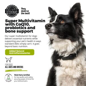 ANP Super Multi-Vitamin, Natural No Animal Proteins, 60 Soft Chews for Dog Gut Health and Immune System, CoQ10, Probiotics 5M CFUs and Glucosamine