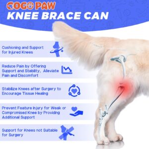 Dog Knee Brace for Torn ACL Hind Legs, Anti-slip Dog Leg Braces for Back Legs with Comfort Vest, Strong Support Dog ACL Hip Brace with 2 Metal Strips and Adjustable Belt for Cruciate Ligament Injury