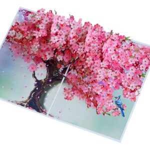 PQ Bees Pop Up Birthdays Card for Women Mom Grandma Wife | 3D Mother’s Day Anniversary Get Well Soon Thank You Valentines Day Card (Size 6x8 In – Cherry Blossom BlueJay Bird).