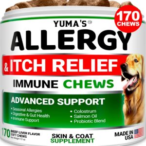 Dog Allergy Relief Chews - Dog Itching Skin Relief Treatment Pills - 170 Treats - Itchy and Paw Licking - Anti-Itch - Dry Skin & Hot Spots Omega 3 Fish Oil Skin & Coat Supplement - Beef Liver Flavor