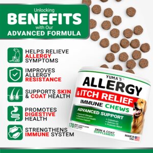 Dog Allergy Relief Chews - Dog Itching Skin Relief Treatment Pills - 170 Treats - Itchy and Paw Licking - Anti-Itch - Dry Skin & Hot Spots Omega 3 Fish Oil Skin & Coat Supplement - Beef Liver Flavor