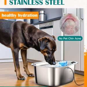 Stainless Steel Large Dog Water Fountain for Large Dogs,3Gallon Extra Large Capacity Big Pet Water Fountain with 4 Filters,Automatic Dog Fountain Water Bowl Dispenser Indoor,Quiet Pump,Dishwasher Safe