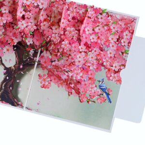 PQ Bees Pop Up Birthdays Card for Women Mom Grandma Wife | 3D Mother’s Day Anniversary Get Well Soon Thank You Valentines Day Card (Size 6x8 In – Cherry Blossom BlueJay Bird).