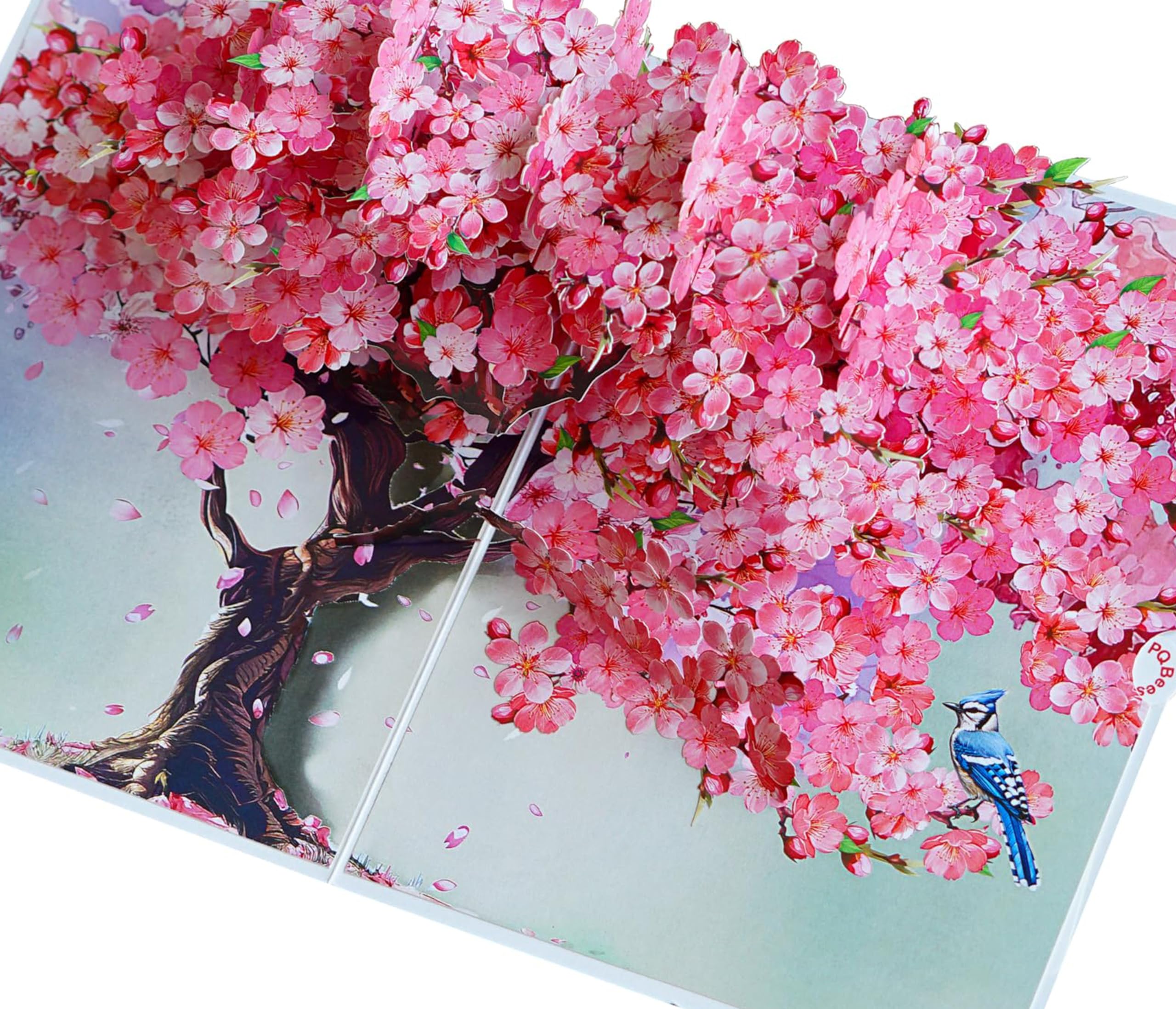 PQ Bees Pop Up Birthdays Card for Women Mom Grandma Wife | 3D Mother’s Day Anniversary Get Well Soon Thank You Valentines Day Card (Size 6x8 In – Cherry Blossom BlueJay Bird).