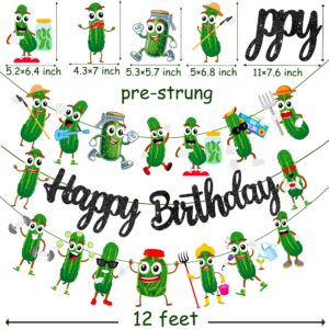 Funny Pickle Birthday Party Decorations Black Happy Birthday Banner Green Pickle Cucumber Theme Garland Cute Cucumber Birthday Banner Decorations for Kind of a Big Dill Party Baby Shower Supplies