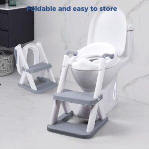 EzyWay Potty Training Seat with training stickers, upgraded Toddler training Seat for Kids Boys & Girls, 2 in 1 Potty Training Toilet for Kids with Splash Guard Anti-Slip Pad Step Stool (Gray)