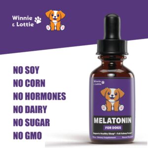 Dog Melatonin | Melatonin for Dogs | Dog Sleep Aid | Sleep Aid for Dogs | Melatonin for Dogs Sleep | Dog Calming | Calming for Dogs | Dog Calming Treats | Dog Anxiety Relief | 1 fl oz: Bacon Flavor