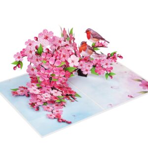 Mothers Day Card, Pop Up Valentines Day Birthday Anniversary Cards, 3D Get Well Soon Thank You Card (Size 6x8 In – Cherry Blossom Robins Couple).