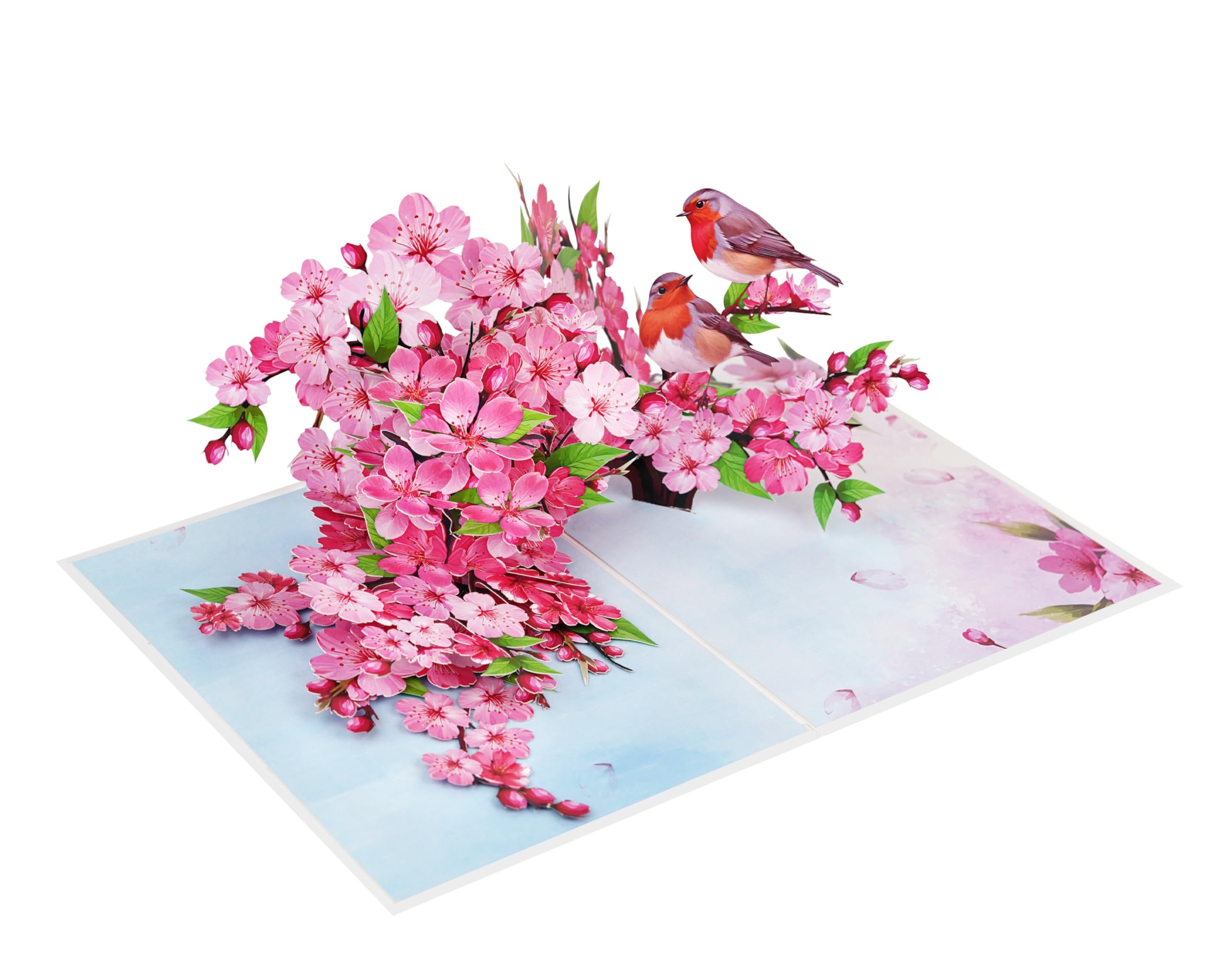 Mothers Day Card, Pop Up Valentines Day Birthday Anniversary Cards, 3D Get Well Soon Thank You Card (Size 6x8 In – Cherry Blossom Robins Couple).