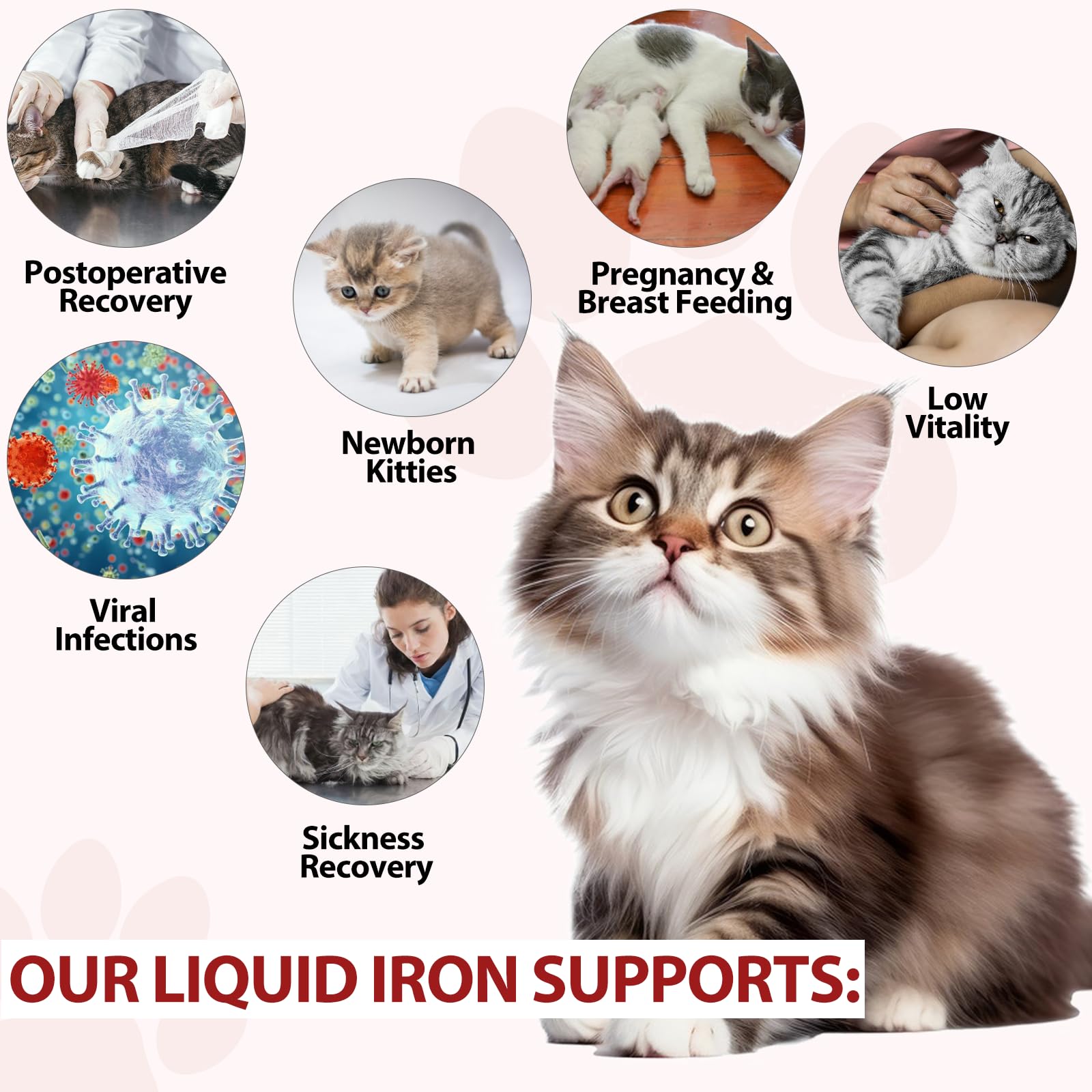 Iron Supplements for Cats, 60ML Liquid Iron with Folate and B12 Supports Anemia, Low Enery Levels and Lethargy, Promotes Red Blood Cell Formation and Blood Health