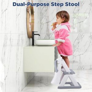 EzyWay Potty Training Seat with training stickers, upgraded Toddler training Seat for Kids Boys & Girls, 2 in 1 Potty Training Toilet for Kids with Splash Guard Anti-Slip Pad Step Stool (Gray)