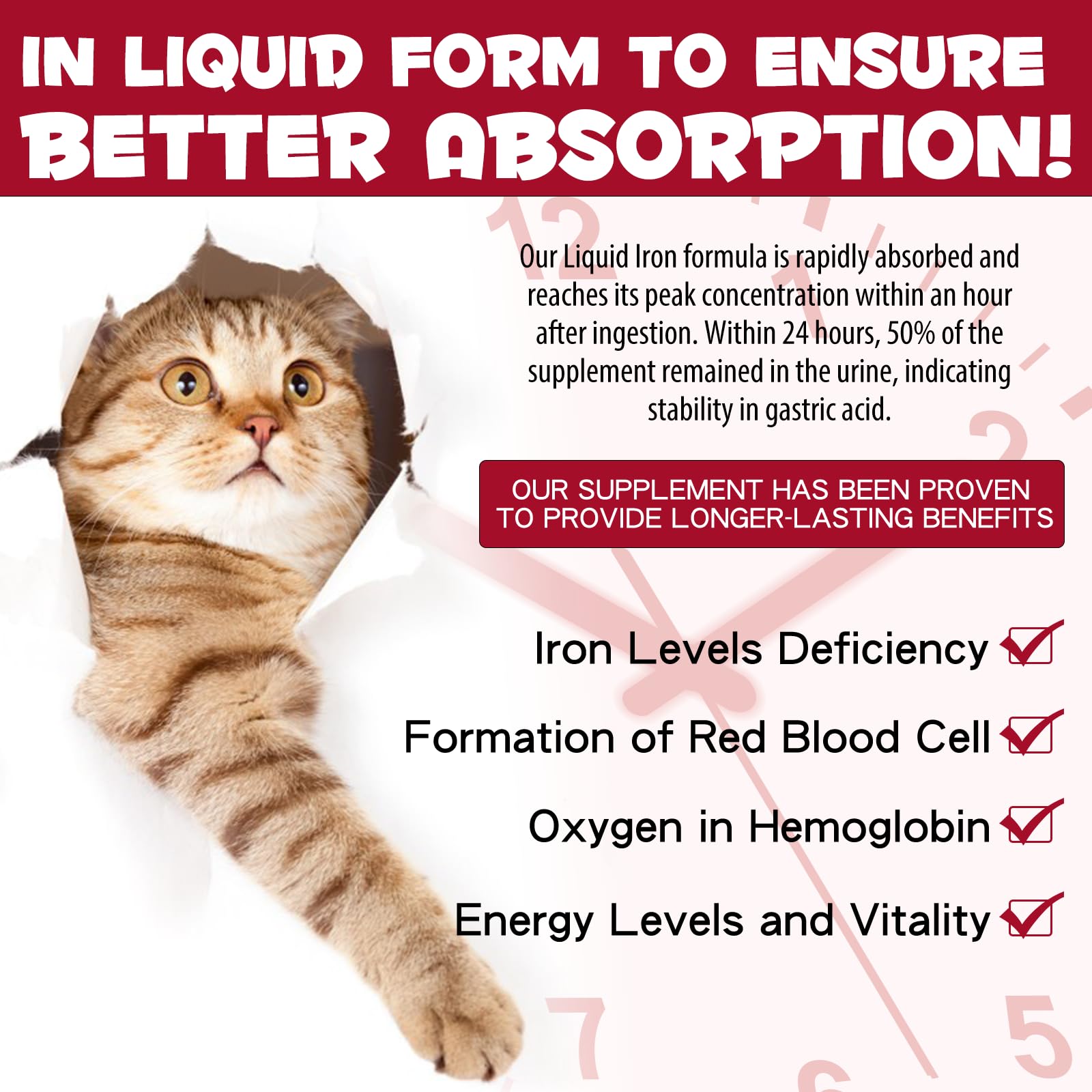 Iron Supplements for Cats, 60ML Liquid Iron with Folate and B12 Supports Anemia, Low Enery Levels and Lethargy, Promotes Red Blood Cell Formation and Blood Health