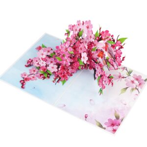 Mothers Day Card, Pop Up Valentines Day Birthday Anniversary Cards, 3D Get Well Soon Thank You Card (Size 6x8 In – Cherry Blossom Robins Couple).