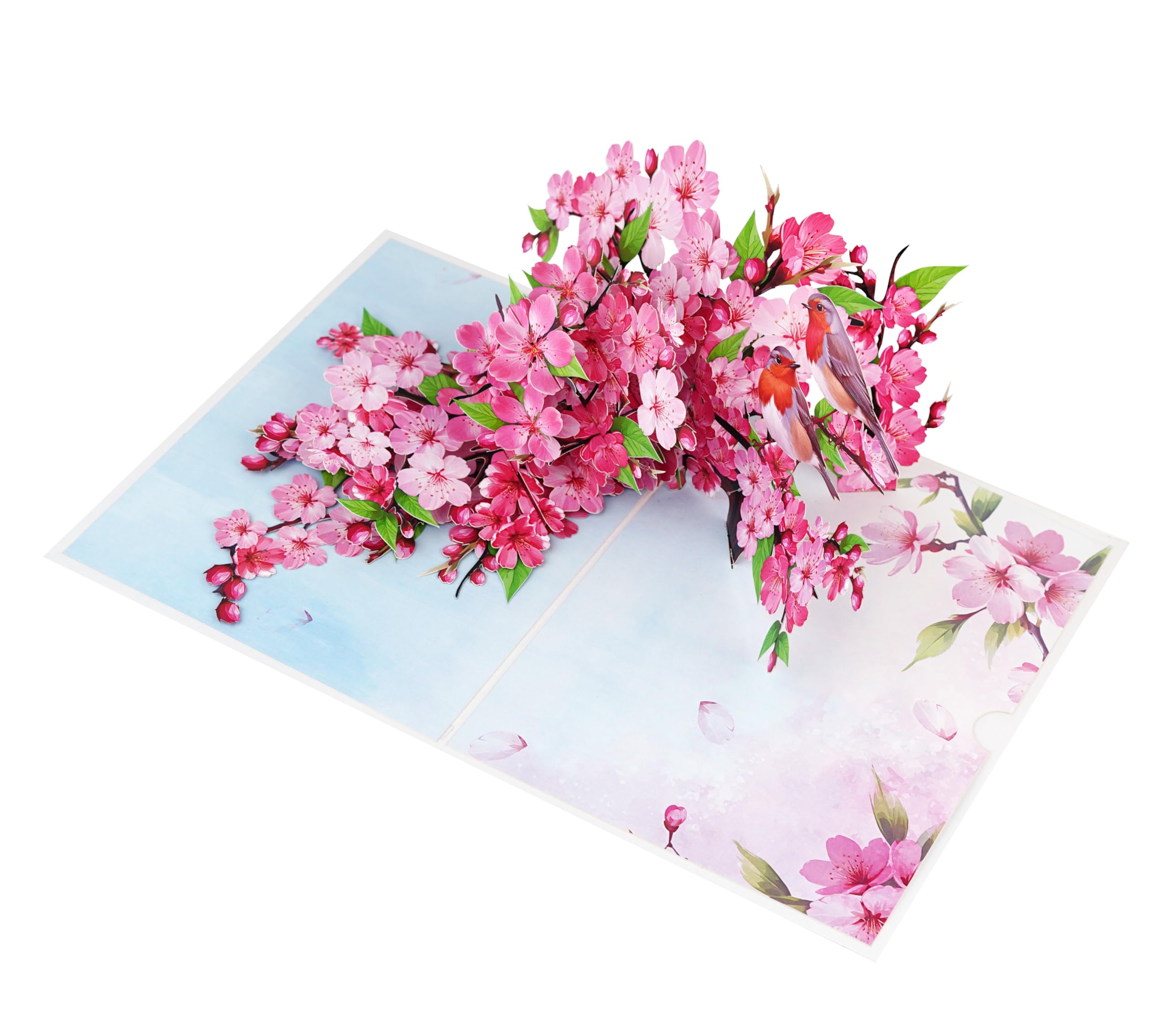 Mothers Day Card, Pop Up Valentines Day Birthday Anniversary Cards, 3D Get Well Soon Thank You Card (Size 6x8 In – Cherry Blossom Robins Couple).