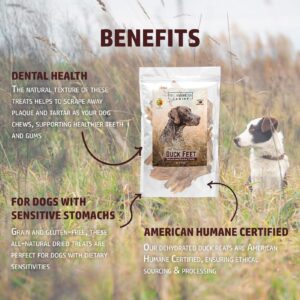 All American Canine Duck Feet Natural Single Ingredient Chewy Digestible Low-Fat Dehydrated Dog Treats for Training, Rewarding, Teeth Cleaning - 24 Treats